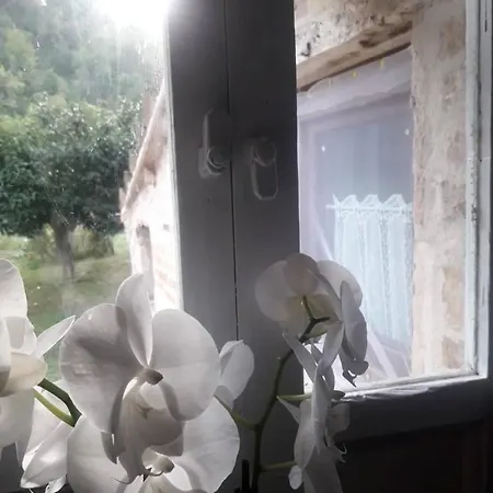 Il Giardino Dei Sogni